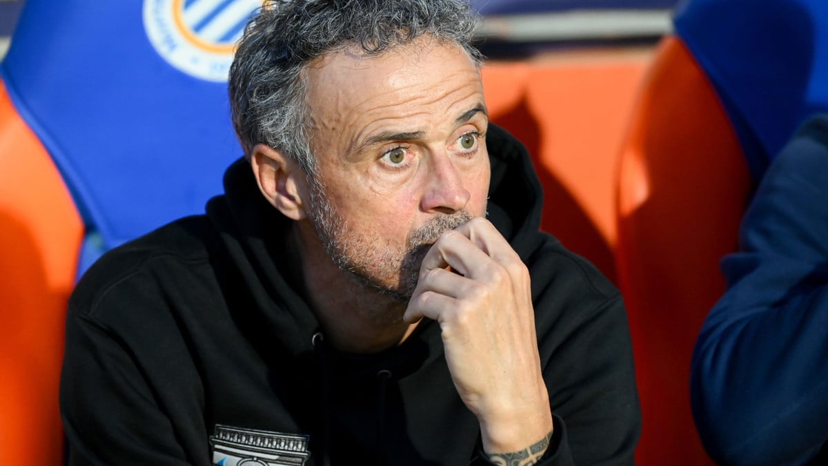 Un champion d'Europe au PSG, masterclass de Luis Enrique !