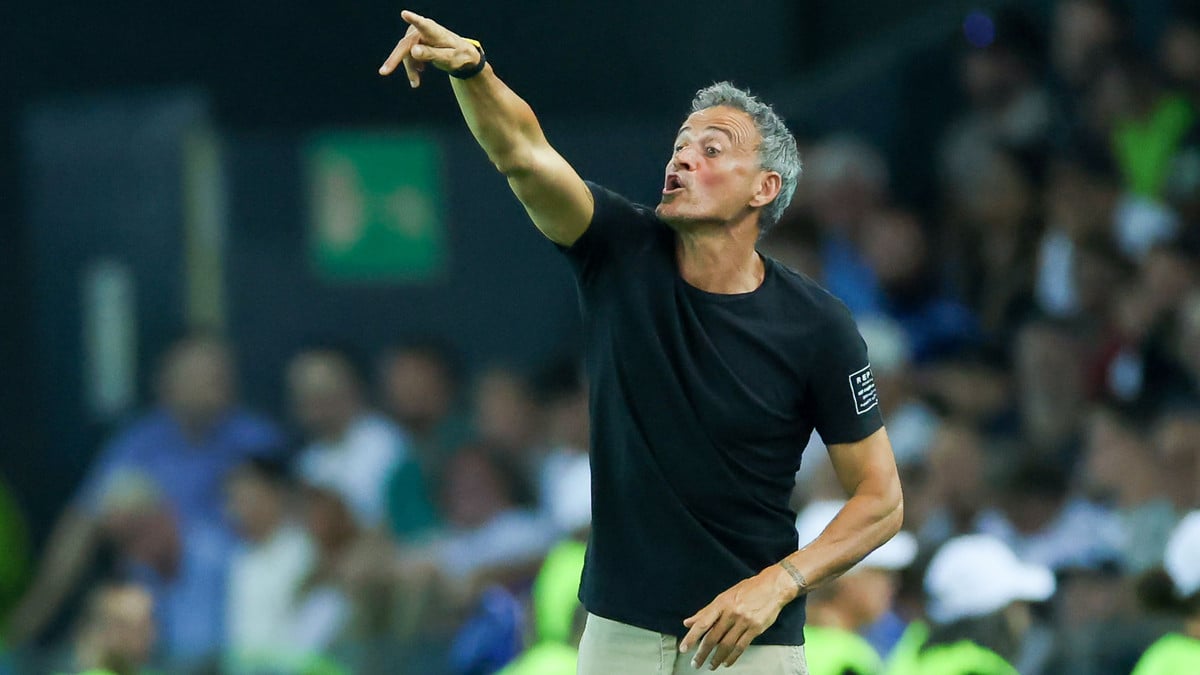 Luis Enrique en pleine rêve : Le transfert tant attendu est enfin bouclé, le PSG tient le joueur «parfait» !