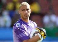 Un Fennec attaque par des sangliers