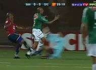 Le Victor Valdes bresilien