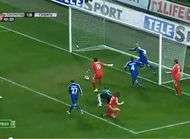 Les Bleuets battus par un peintre