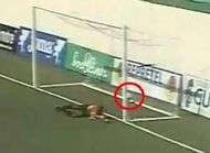 On a trouve pire que Chapron