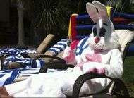 David Beckham se deguise en lapin geant