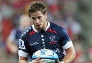 Toulon relance Cipriani et signe Mason