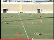 Attaques par des abeilles en plein match