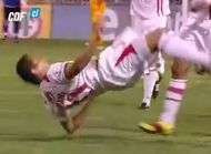 Urbano le ver de terre qui plante