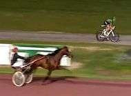 Voeckler se fait ridiculiser par un cheval