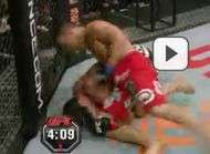 Ellenberger Shields Le combat aura tourne court