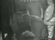 Tindall la video du scandale