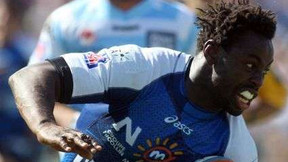 Résultats H Cup : Montpellier accroche le Leinster