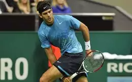 Tournoi de Bâle : Del Potro domine Federer