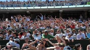 Roland-Garros : une inquiétante invasion de faucons