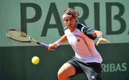 Résultat Roland-Garros : Ferrer sort Paire