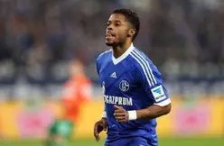 Schalke - Bastos : « Ils me montrent beaucoup de respect »