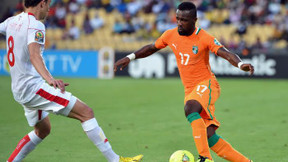 CAN 2013 : Tiéné, Koné et Pitroipa dans l’équipe-type