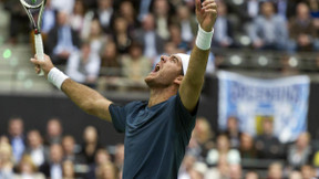 Del Potro sort Murray