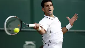 Wimbledon : Djokovic et Del Potro ne bronchent pas