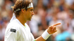 Tennis : Ferrer n’y arrive pas