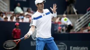 US Open : Murray déroule face à Llodra