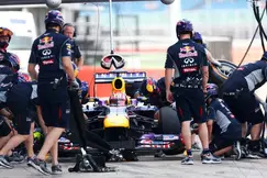 F1 : Da Costa pour remplacer Ricciardo ?
