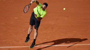 Tennis - Coupe Davis : Raonic, ce guerrier