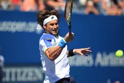 Tennis - Stockholm : Ferrer qualifié sans jouer
