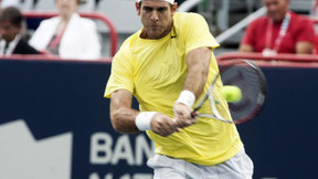 Tennis - Tokyo : Del Potro tient son rang