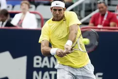 Tennis - Tokyo : Del Potro tient son rang