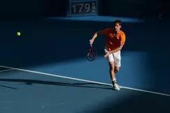 Tennis - Shanghai : Mayer surprend Ferrer et rejoint Tsonga en quarts