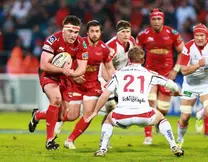 Rugby - H Cup : Les Scarlets font sensation