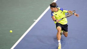 Tennis - Bercy : Ferrer rejoint Nadal