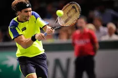 Tennis - Ferrer - Bercy « Mon meilleur match de la saison »