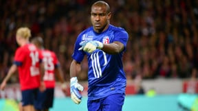 LOSC : Kalou admiratif d’Enyeama