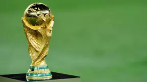 Sondage - Coupe du monde Brésil 2014 : Qui va remporter le Mondial ?