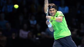 Tennis - Auckland : Ferrer s’est employé