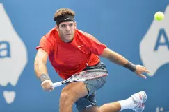 Tennis - Open d’Australie : Del Potro battu par le 62 ème mondial !