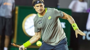 Tennis - Classement ATP : Ferrer devance Del Potro