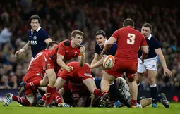 Rugby - 6 Nations : Le Pays de Galles atomise l’Écosse !