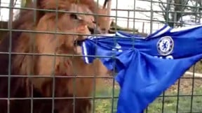 Ligue des Champions : Les fans de Galatasaray ont tout tenté pour intimider Chelsea (vidéo)