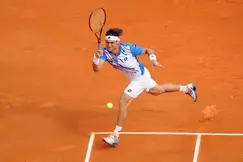 Tennis - Monte-Carlo : Ferrer sort Nadal !