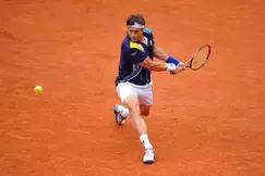 Tennis - Roland Garros - Ferrer : « Nadal reste le favori »
