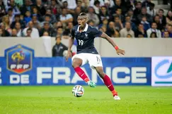 Coupe du Monde Brésil 2014 - Vieira : « Pogba ? C’est le futur grand de l’équipe de France »