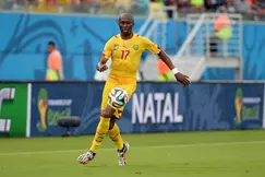 Coupe du Monde Brésil 2014 - Riolo : « Dire du bien des équipes africaines est une quasi obligation morale dans les médias »