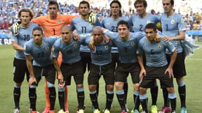 Coupe du monde Brésil 2014 : Invasion de termites dans l’hôtel de Cavani et Suarez, les supporters anglais suspectés !