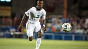 Coupe du monde Brésil 2014 : Les Verts derrière Gradel !