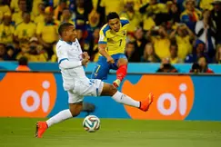 Coupe du monde Brésil 2014 : L’Equateur se relance, la France devra attendre !