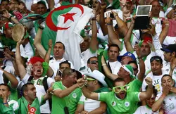 Coupe du monde Brésil 2014 : Un mort et des interpellations après Algérie - Corée du Sud
