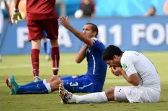 Coupe du monde Brésil 2014 : Chiellini défend Luis Suarez