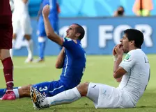 Coupe du monde Brésil 2014 : La morsure de Suarez, un jackpot pour certains