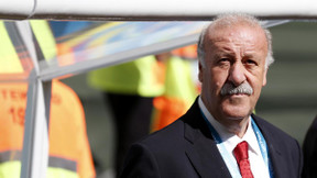 Coupe du monde Brésil 2014 : Del Bosque aurait tranché pour son avenir